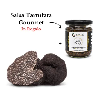 Tartufo Nero Pregiato (Tuber melanosporum)