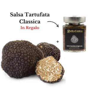 Tartufo Nero Estivo + Salsa Tartufata Classica