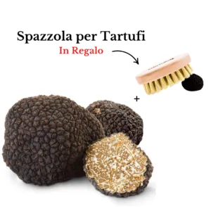 Tartufo Nero Estivo + Spazzola per Tartufi