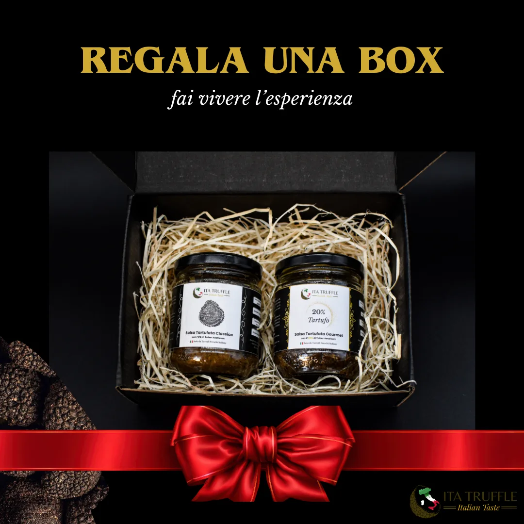 Box Experience Box Experience