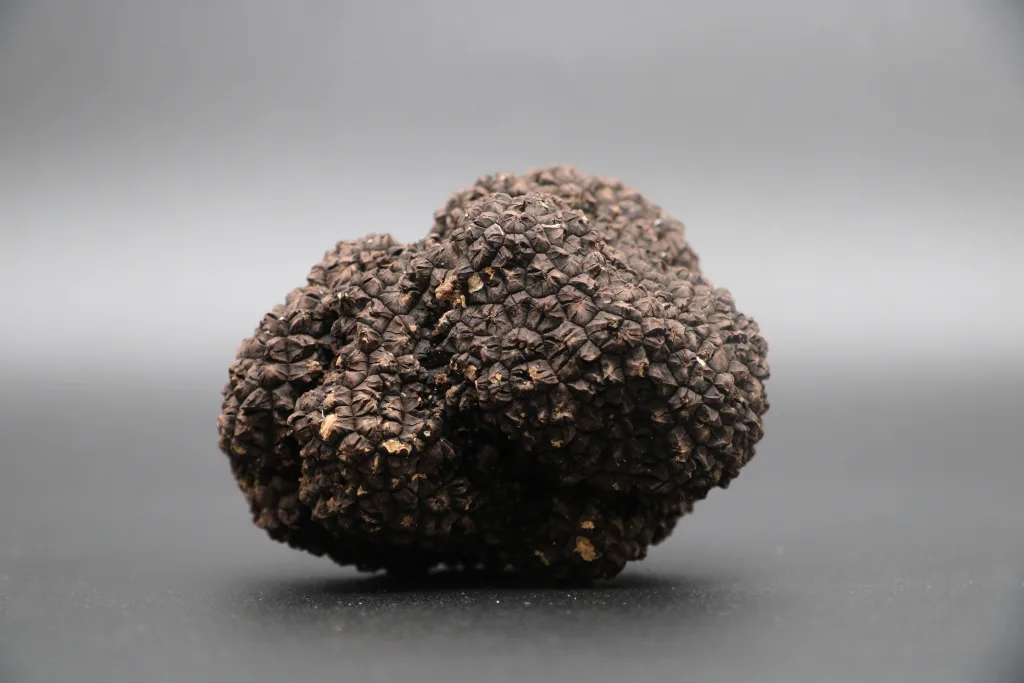 Tartufo